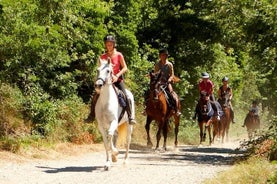 Balade à cheval d’une demi-journée en Toscane