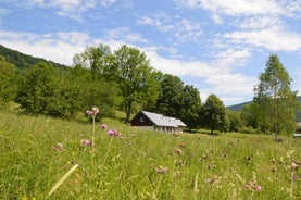 Osada Leonówka Bieszczady