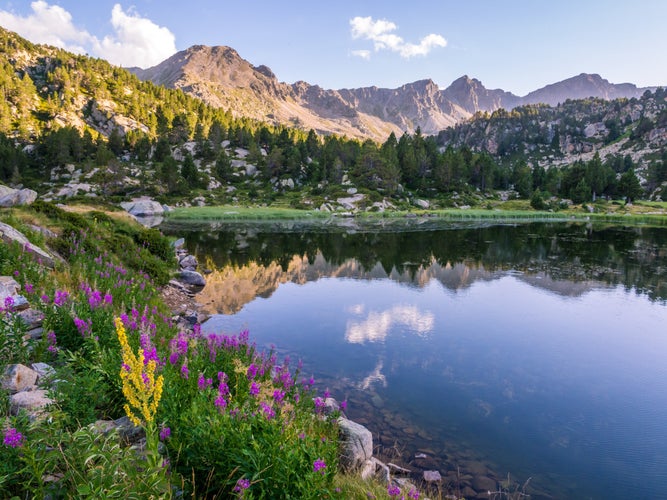 shutterstock_741533317 (1).jpg