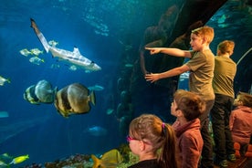 München: Dagspassi í Sea Life