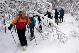 在特罗姆瑟Tromsoya岛上的带导游的雪鞋步行