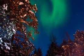 sleigh ride under the northern lights