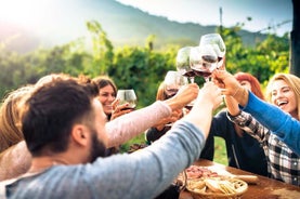 Wein- und Essensverkostung auf der privaten Weinkellerei-Tour des Ätna