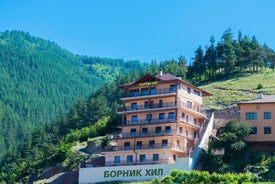 Борник Хил / Bornik Hill