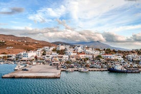 Andros Hafen nach Batsi Privattransfer