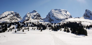 Photo of The Alp Laui near Wildhaus-Alt St. Johann with view of the Saentis and the Wildhuser Schafberg, Toggenburg, Canton of St. Gallen, Switzerland.