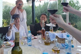 escursione culinaria di mezza giornata nel giardino degli ulivi di Klis