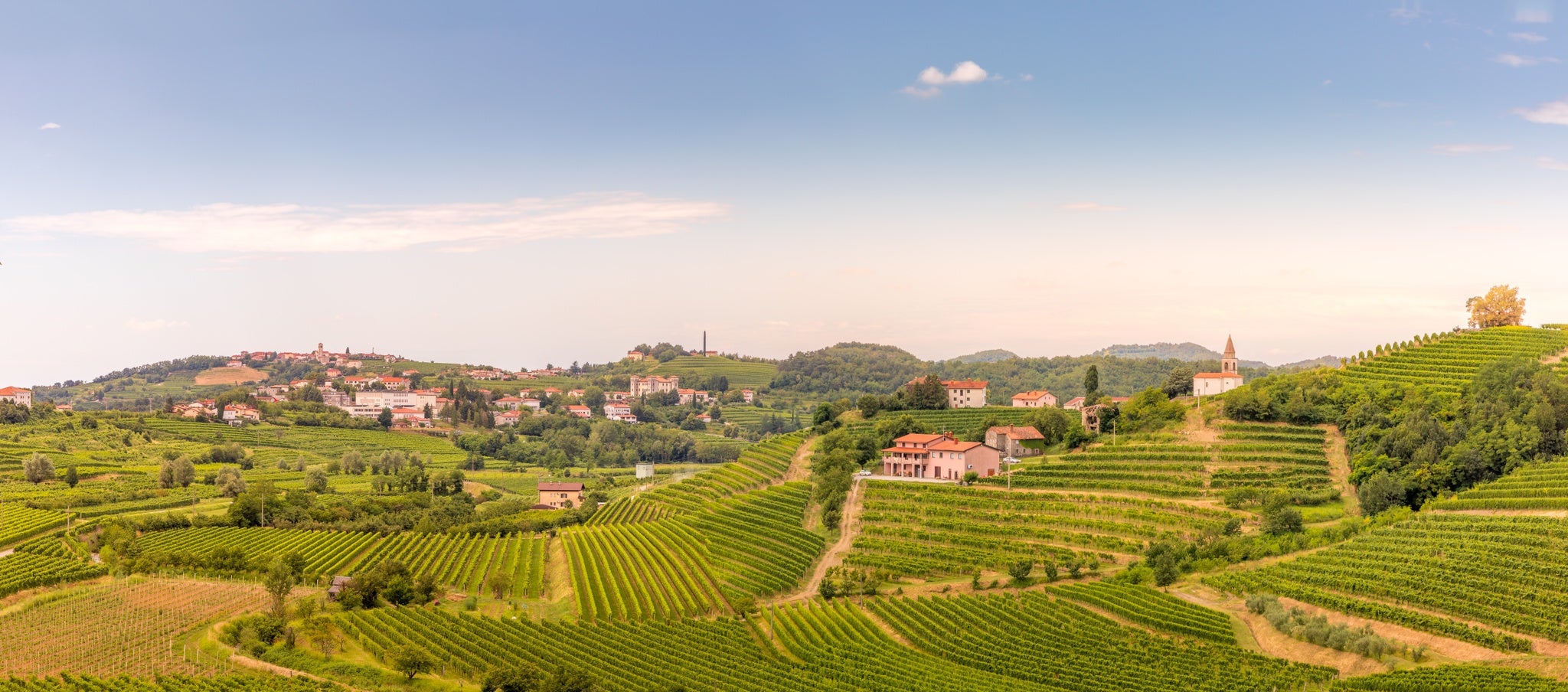 best time to visit Ljubljana for wine tasting.jpg