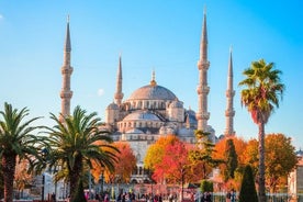 Istanbul Private Guided Tour from Hotel or Cruise Port