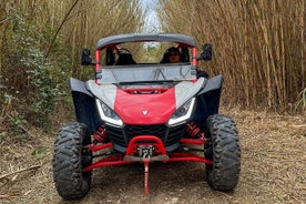 Jungle Buggy Tour in Benidorm