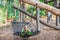 Teenage girl swinging on a swing at the Ljubljana Zoo