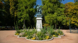 Avignon - city in France