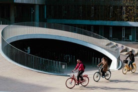 Copenhagen: Guided Architecture and Sustainability Tour