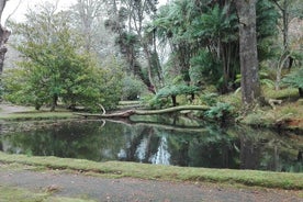 Hotsprings do Lago Furnas e Passeio de Van dos Jardins