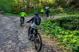 EBike Tour From Brasov Nature, Sightseeing and Culture