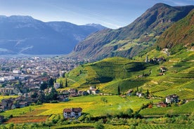 Tour privado La mejor experiencia gastronómica y vinícola del Tirol del Sur