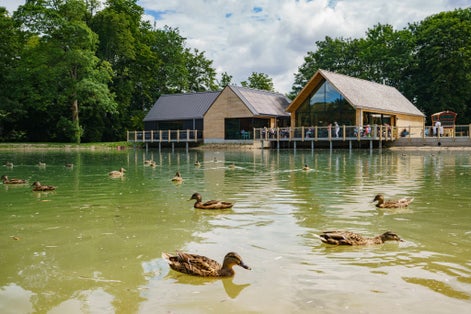 Photo of special old house and life display in Weald & Downland Living Museum, United Kingdom.