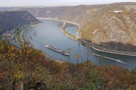 Excursion de Francfort à Rüdesheim - Demi-journée