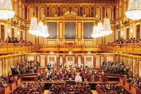 Vienna Mozart Evening: Gourmet Dinner and Concert at the Musikverein