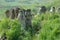 Photo of The dragons garden from Galgau Almasului, Salaj county, Transylvania, Romania .