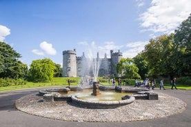 Tour giornaliero di Glendalough, Wicklow e Kilkenny da Dublino con dimostrazione di cane da pastore 