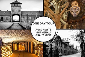 Krakow: Full-Day Auschwitz-Birkenau & Salt Mine Guided Tour