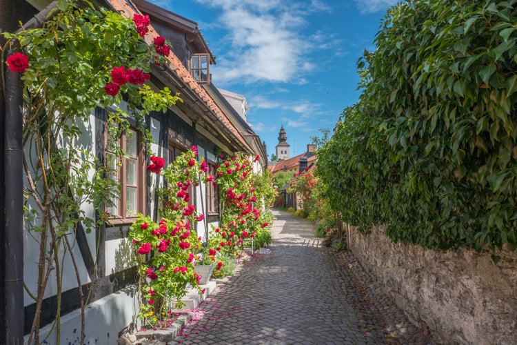 Medieval alley in the historic Hanse town Visby during summer in Sweden.