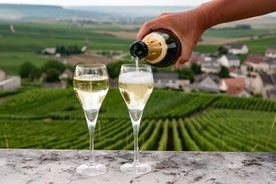 Champagnedagtour vanuit Parijs: wijngaarden en het Franse platteland