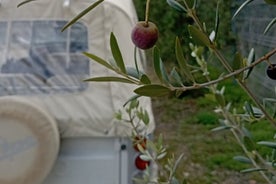 Yksityinen kävelykierros ja opastetut piknikit paikallisen ruoan ja viinin kera