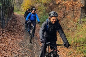 4-uur durende e-bike-tour om de Bolognese heuvels te ontdekken met proeverij