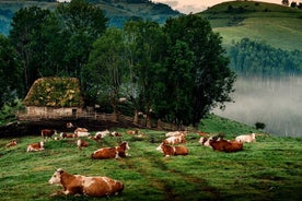 Entdecken Sie die Apuseni-Berge - den Scarita-Gipfel, den Sipote-Wasserfall und das Dorf Dumesti