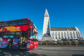 City Sightseeing Reykjavik Hop-On Hop-Off Bus Tour: 24 or 48-Hour