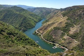 Saint Jacques de Compostelle Vin, gastronomie, histoire et nature.