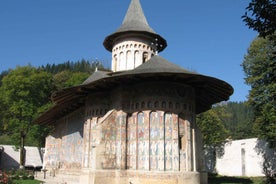 Bucovina Painted Monasteries Tour from Suceava/Gura Humor