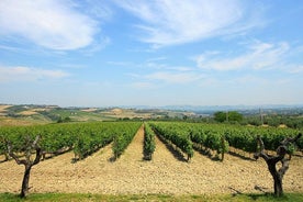 Visit the Marchesi de Cordano winery and taste its wines