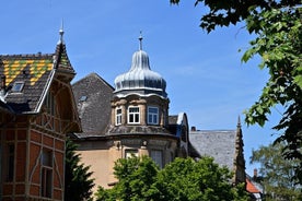 Tour privado guiado de Heidelberg desde Frankfurt en tren