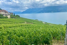 Basel privat rundtur - Gruyères, ost och Lavauxs UNESCO-vin