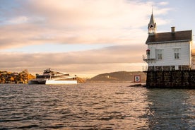 Crucero sostenible en el fiordo de Oslo con audioguía