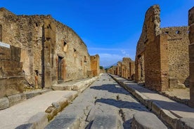 Excursión privada de un día a Pompeya desde Roma en tren rápido a Nápoles y servicio de coche