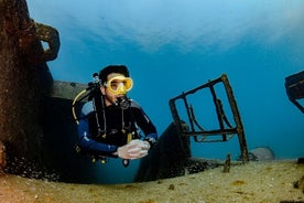 Mergulho divertido em Tenerife