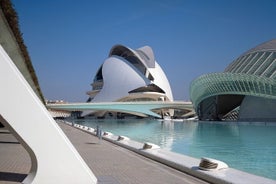 Tour a Valencia in un giorno da Madrid