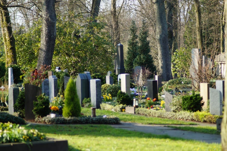 Photo of Old cemetery in Mülheim in autumn.