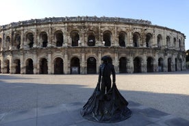 NIMES Excursão a pé particular de 2 horas no Centro Histórico de Nimes