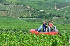 Must-see 3h30 fra Epernay (Privat halvdags Champagne Tour)