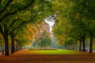 Rotterdam - city in Netherlands