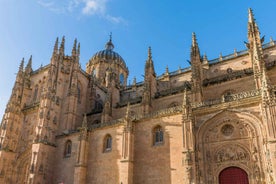 Salamanca: Cathedral of Salamanca Ticket with Audio Guide