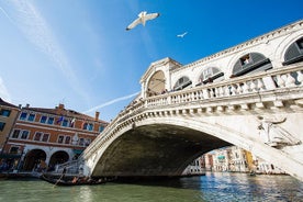 From Lake Garda: Special Venice trip with private tour of the Lagoon by boat