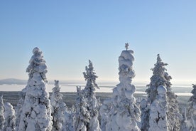 7 Days and 6 Nights Winter Lapland Nature Experience