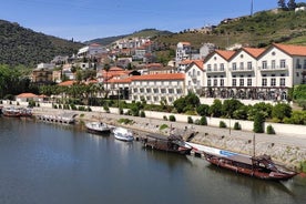 Visit Pinhão Visit and Wine Tasting Panoramic Cruise