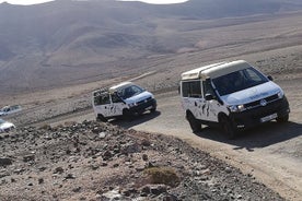 Goûts de Fuerteventura Minivan VIP Tour